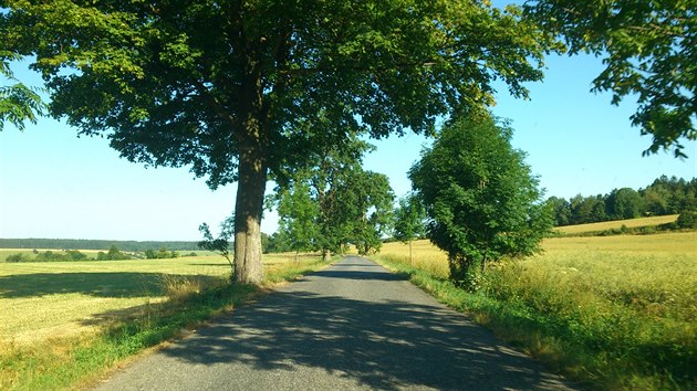 Silnice II/363 mezi Brnncem a Polikou pes lto.