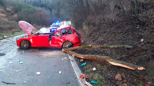Na Mladoboleslavsku spadl strom na jedoucí auto, jeden člověk zemřel. (5.2.2020)