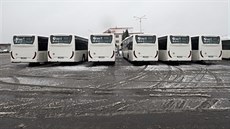 Spolenost SAD Liberec koupila sedmnáct nových nízkopodlaních autobus.