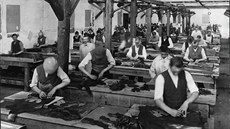 Fotograf pro�el v roce 1919 celou �adu provoz� firmy T. & A. Ba�a (na snímku...