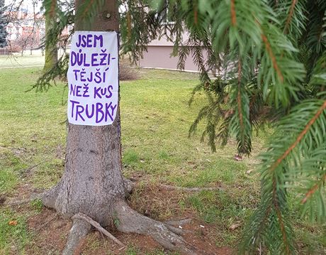 Aktivisté chtjí zachránit stromy ve Vsetín, umístili na n emotivní vzkazy.