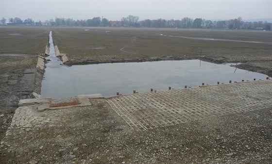 Vypuštěný Petrův rybník u Krnova, pohled na loviště.
