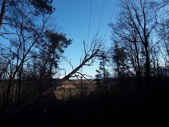 ilustra�ní snímek