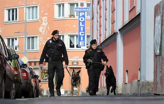 Psovodi mstské policie Luká erný se psem Tixem a Marie Lokingová s Badym se...