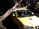 Silný vítr v praských Modanech vyvrátil strom, který spadl na zaparkované...
