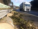 Na dlnici D3 spadl rno strom. Provoz mezi Sobslav a Tborem smrem na esk...