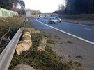 Na dálnici D3 spadl ráno strom. Provoz za Táborem smrem na Budjovice obnovili...
