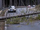 Vtrem vyvrácený strom zablokoval silnici u Taunus, který se nachází nedaleko...