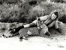 Po spchu projektu se lvy se Joy Adamsonov vnovala rovn pozorovn ivota...