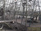 Na voliéru v plzeské zoo padl strom. (10. února 2020)