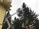 Silný vítr na Karlovarsku vyvracel stromy. (10. února 2020)