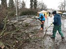 Hasii odstraují ze zlínských ulic oezané vtve strom. (10. února 2020)