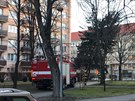 Vítr v Českých Budějovicích vyvrátil strom v Lidické třídě.