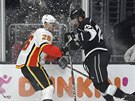 Martin Frk z Los Angeles a Michael Stone (vlevo) z Calgary v tvrd�m st�etu.