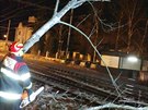 Naklonný strom pekáející na trati, místo Správa eleznic neupesnila (10. 2....