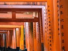 Brány torii ve Fushimi Inari