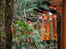 Brány torii ve Fushimi Inari si mohou adoptovat firmy i jednotlivci pro tstí.
