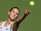 Karolína Plíková na turnaji v Dubaji