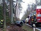 Auto narazilo u Borohrdku do stromu, nklad vajec se rozbil (13. 2. 2020).