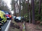 Auto narazilo u Borohrdku do stromu, nklad vajec se rozbil (13. 2. 2020).