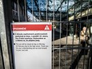 Zoo Praha preventivn zavela kvli silnému vtru. (10. února 2020)
