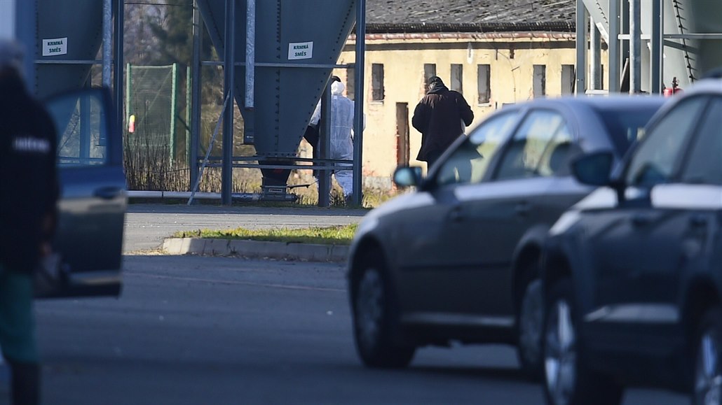 Kvůli ptačí chřipce u Pardubic padne 140 tisíc kusů drůbeže, další chov testují