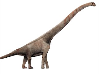 Vizualizace sauropoda Sauroposeidon proteles s naznačenými obřími krčními...