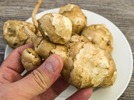 Hlzy topinambur lze dokonce konzumovat syrov a nastrouhat i nakrjet je...