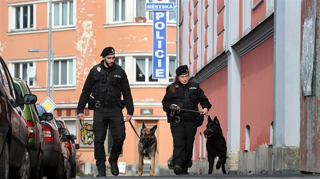 Psovodi mstsk policie Luk ern se psem Tixem a Marie Lokingov s Badym se zanedlouho vydaj do ulic Chebu.