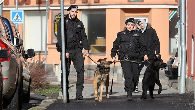 Psovodi městské policie Lukáš Černý se psem Tixem a Marie Lokingová s Badym se zanedlouho  vydají do ulic Chebu.