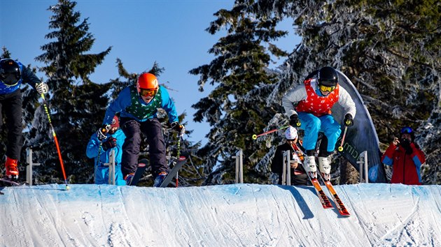 Zlatou a stbrnou medaili vybojovaly na nedvn olympid dt a mldee v Karlovarskm kraji zdej skicrossaky.