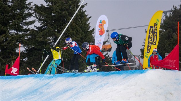 Zlatou a stbrnou medaili vybojovaly na nedvn olympid dt a mldee v Karlovarskm kraji zdej skicrossaky.