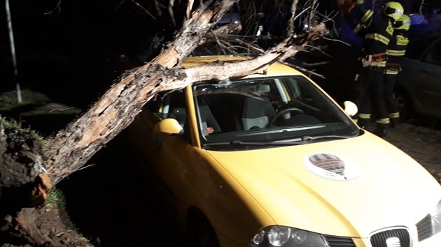 Silný vítr v pražských Modřanech vyvrátil strom, který spadl na zaparkované auto. (10. února 2020)