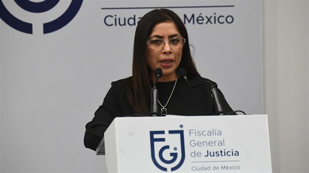Zstupkyn mexickho generlnho prokurtora Nelly Montealegreov slbila, e prokuratura bude v postupu proti pachateli vrady neprosn. (12. nora 2020)