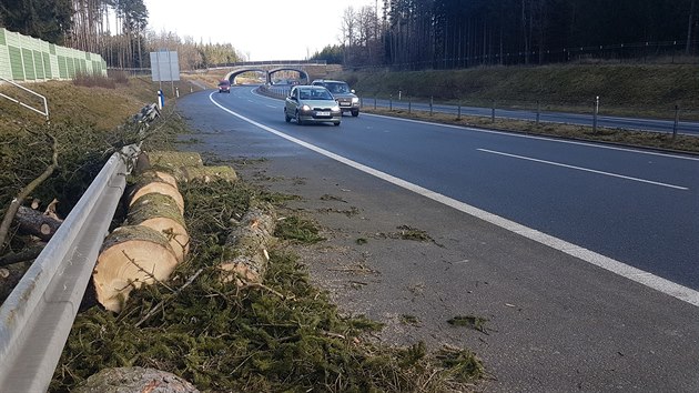 Na dlnici D3 spadl rno strom. Provoz za Tborem smrem na Budjovice obnovili silnii po osm hodin.