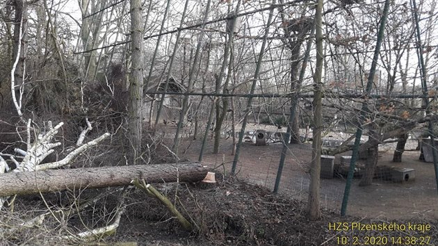 Na voliéru v plzeňské zoo padl strom. (10. února 2020)