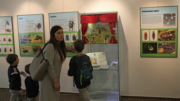 Výstava v jihlavském muzeu je k vidění do 15. března.