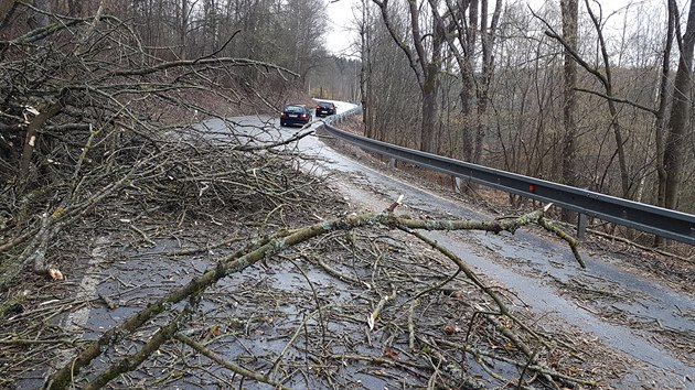 Nsledky vichice Sabine v Jihoeskm kraji na silnici z Prachatic na Lhenice (10. nora 2020)