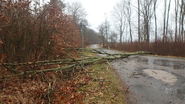 Nsledky orknu v Krlovhradeckm kraji (10. nora 2020)