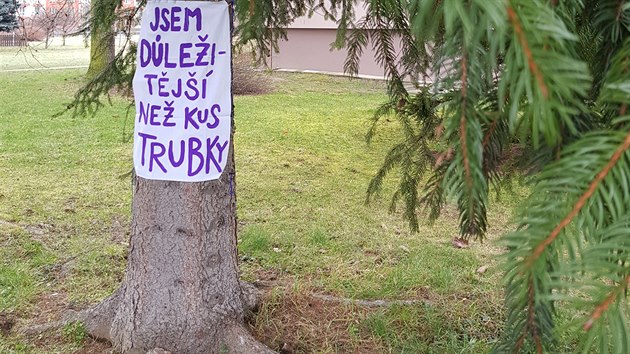 Aktivist chtj zachrnit stromy ve Vsetn, umstili na n emotivn vzkazy.