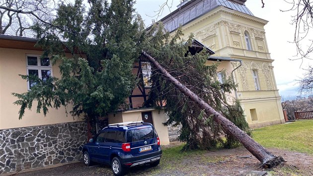 Spadl strom na budov koly v ulici Jana Masaryka v Praze 2. (10.2.2020)