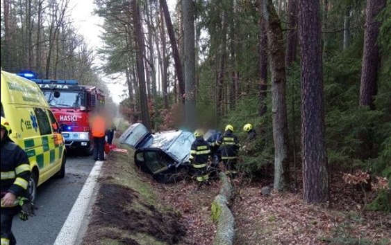 Auto narazilo u Borohrádku do stromu, náklad vajec se rozbil (13. 2. 2020).