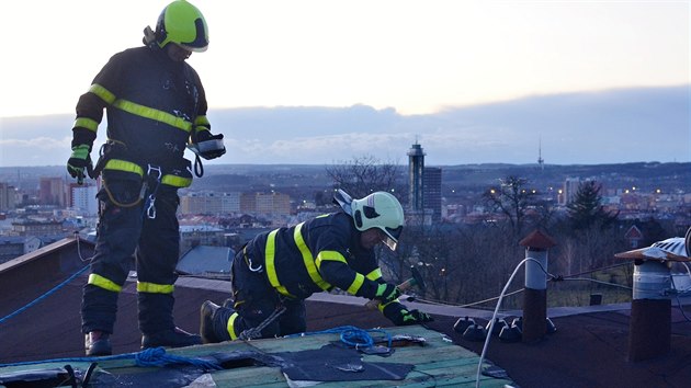 Hasii v Moravskoslezskm kraji od pondln plnoci vyjdli k destkm ppad souvisejcch se silnm vtrem. Nejastji eili popadan stromy a stav stech.