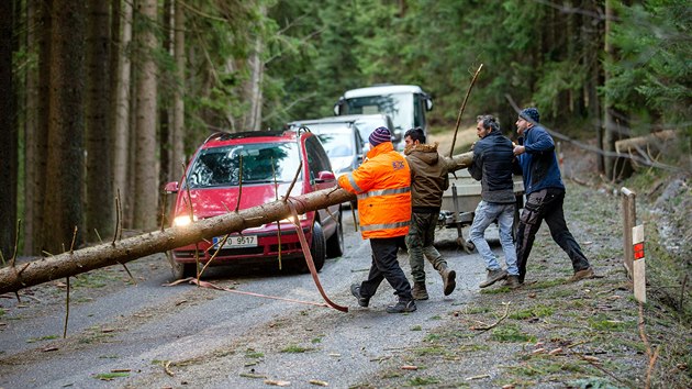 idii svpomoc odtahuj strom padl pes silnici mezi pickm sedlem a Hojsovou str v Plzeskm kraji. (10. nora 2020)