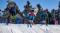 Zlatou a stíbrnou medaili vybojovaly na nedávné olympiád dtí a mládee v...