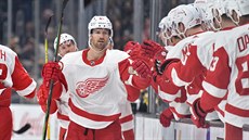 Darren Helm z Detroitu slaví se spoluhrái vstelený gól proti Bostonu.