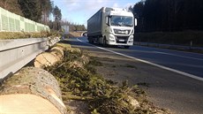 Na dálnici D3 spadl ráno strom. Provoz mezi Sobslaví a Táborem smrem na eské...