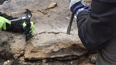 Zdokumentování a penesení nálezu do muzejní sbírky bylo moné pedevím díky správnému postupu návtvníka, který nález ohlásil.