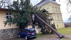 Spadlý strom na budov koly v ulici Jana Masaryka v Praze 2. (10.2.2020)
