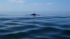 Národní park Cape Breton je vyhlá�ený nejen panenskou p�írodou, ale i jako...